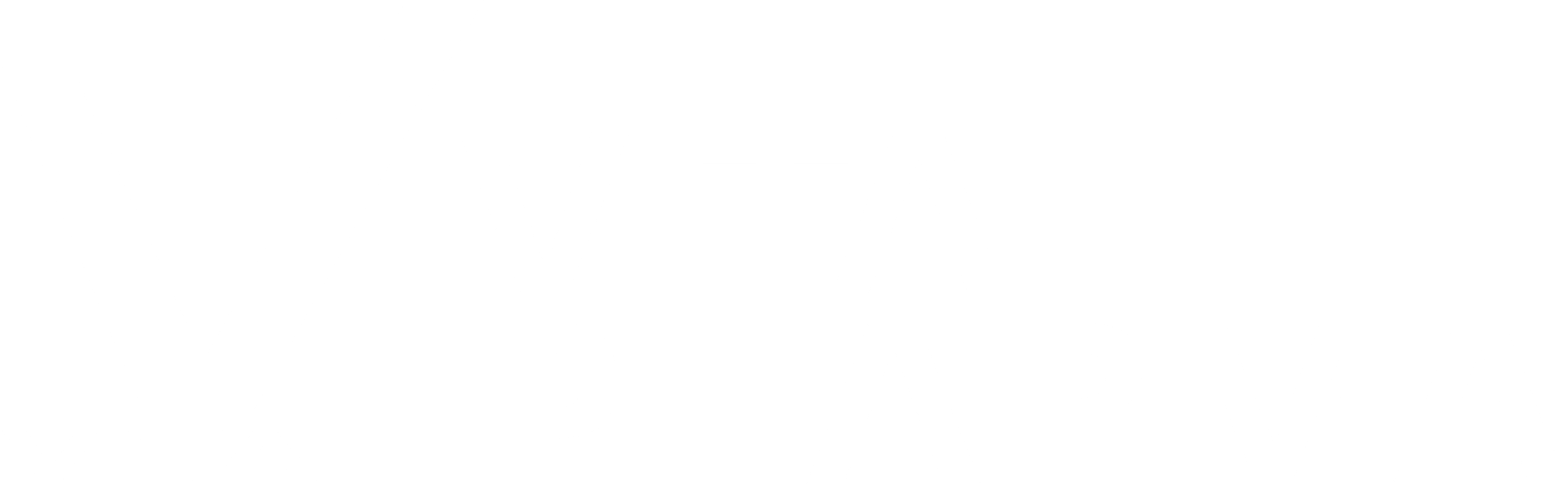 Vital Therapeutics & Formulations Pvt. Ltd.